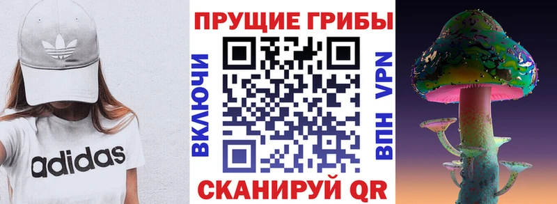 Галлюциногенные грибы Cubensis  Великие Луки 
